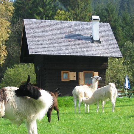 Huette Zum Verlieben Gurk エクステリア 写真